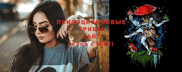 ECSTASY Горнозаводск