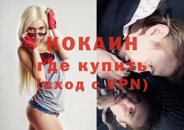 молекула духа Горняк