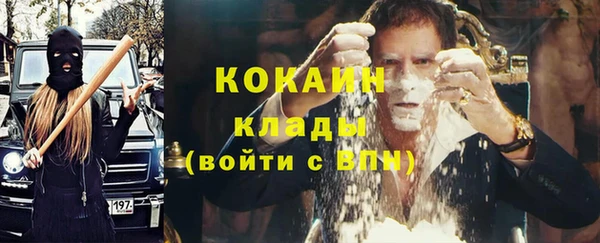 молекула духа Горняк