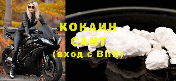 молекула духа Горняк