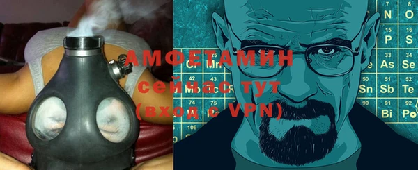 молекула духа Горняк